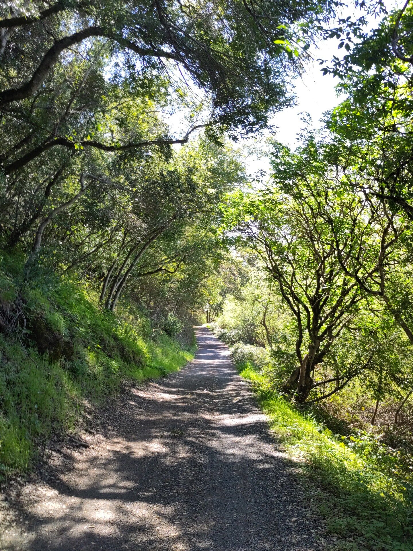 Spring Lake to Lake Ilsanjo